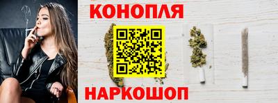 прущие грибы Можайск