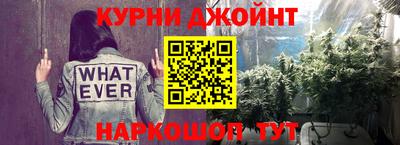 прущие грибы Можайск