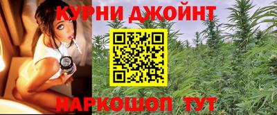 прущие грибы Можайск